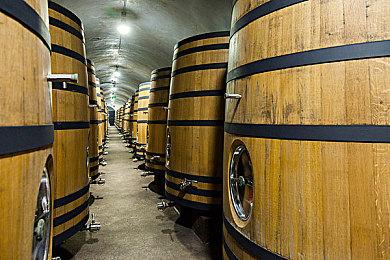 The Front正式发售，公布服务器模式和未来开发计划